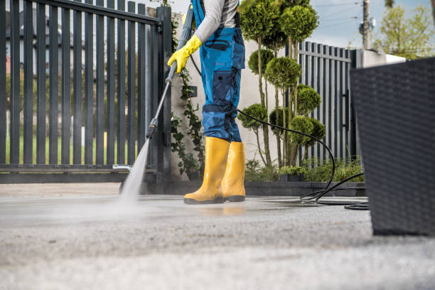 Best Roof Washing  in Chatsworth, IL